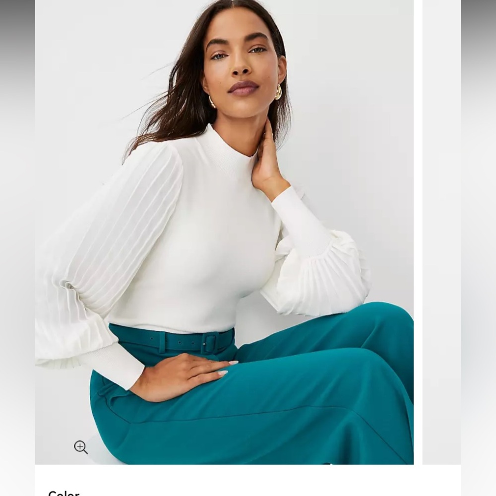 Pleated Sleeve Sweater